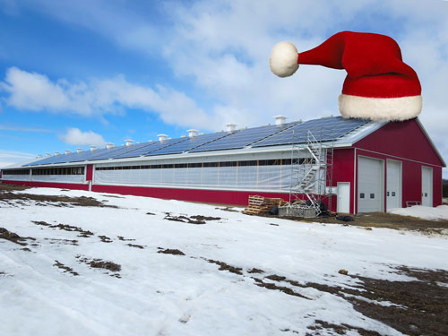 Solar-Christmas-Hat_small