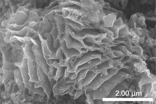 A scanning electron microscope image of sodium-embedded carbon