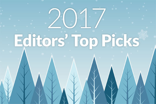 2017-top-stories