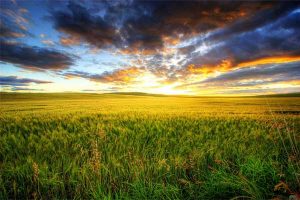 Prairie-Canada