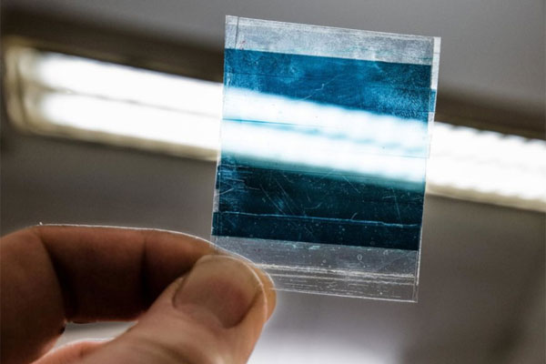 semi-transparent-solar-cell-module