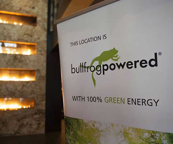 Bullfrog_Power