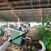 Solar-panels-cast-shade-on-agriculture-in-a-good-way