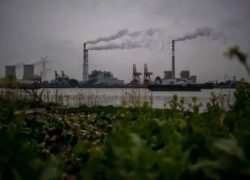 Reduced use of coal-fired power plants leads to a drop in CO2 emissions: study