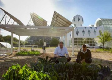 Agrivoltaics proves mutually beneficial across food, water, energy nexus