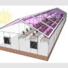 Achieving-Net-Zero-Energy-Greenhouses-by-Integrating-Semitransparent-Organic-Solar-Cells