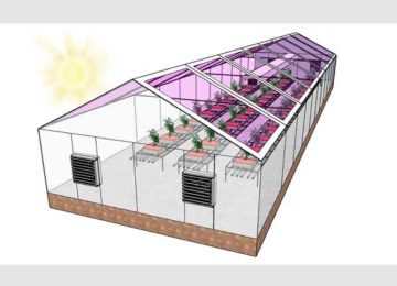 Many greenhouses could become energy neutral by using see-through solar panels to harvest energy