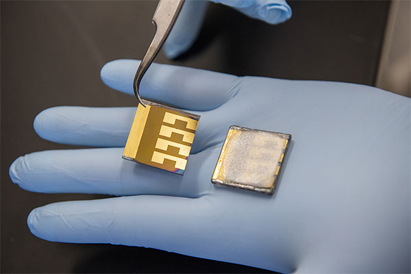 Two-laboratory-solar-cell-samples