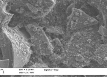 New hybrid material of silicon microparticles can improve the performance of silicon in Li-ion batteries