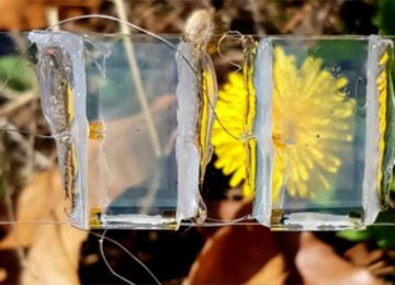 On the road to invisible solar panels: How tomorrow’s windows will generate electricity