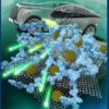 Silicon-particles-in-a-lithium-ion-battery-protected-by-a-polymer-binder-mesh