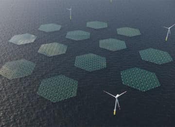 Startup plans test installation of solar panel rafts that glide over waves in the North Sea ‘like a carpet’