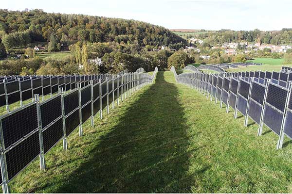Vertically-installed,-bifacial-solar-modules-on-farmland