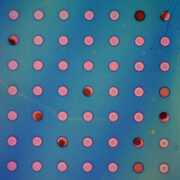 MIT-researchers-develop-polymer-film-that-could-prevent-solar-panel-corrosion