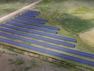 The Barnwell micro solar grid sits in the corner of a field