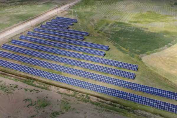 The Barnwell micro solar grid sits in the corner of a field