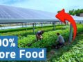 agrivoltaics